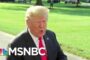 Donald Trump, A Very Stable Genius, Tries To Read The Constitution All In MSNBC
