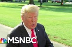 Donald Trump, A Very Stable Genius, Tries To Read The Constitution All In MSNBC