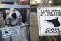 Beware Of Dog Signs That Will Make You Laugh