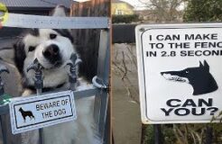 Beware Of Dog Signs That Will Make You Laugh