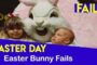 Easter Bunny Fails Funny Kids Compilation