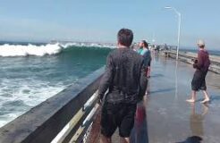 San Diego Big Wave Wets Tourist Funny