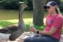 Lonely Goose Falls In Love With Woman. Then Things Get Weird.